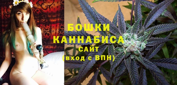 тгк Гусев