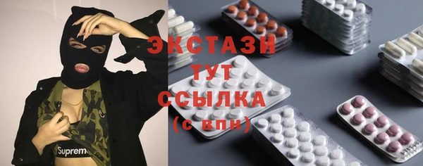 тгк Гусев