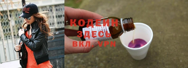 тгк Гусев