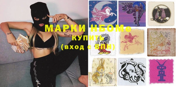 тгк Гусев