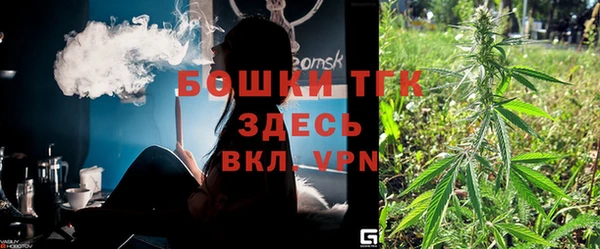 тгк Гусев