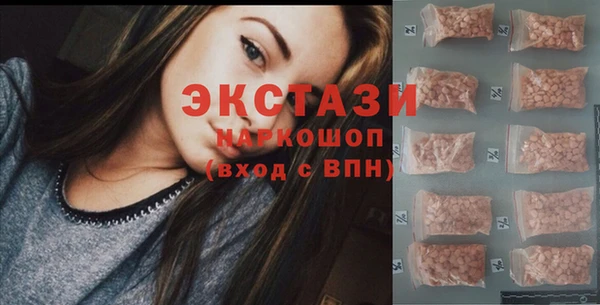 тгк Гусев