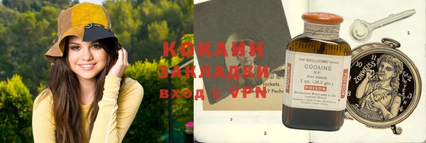 тгк Гусев