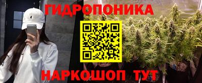 ГАЛЛЮЦИНОГЕННЫЕ ГРИБЫ Балахна