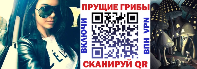 где купить наркоту  Мценск  Галлюциногенные грибы мицелий 